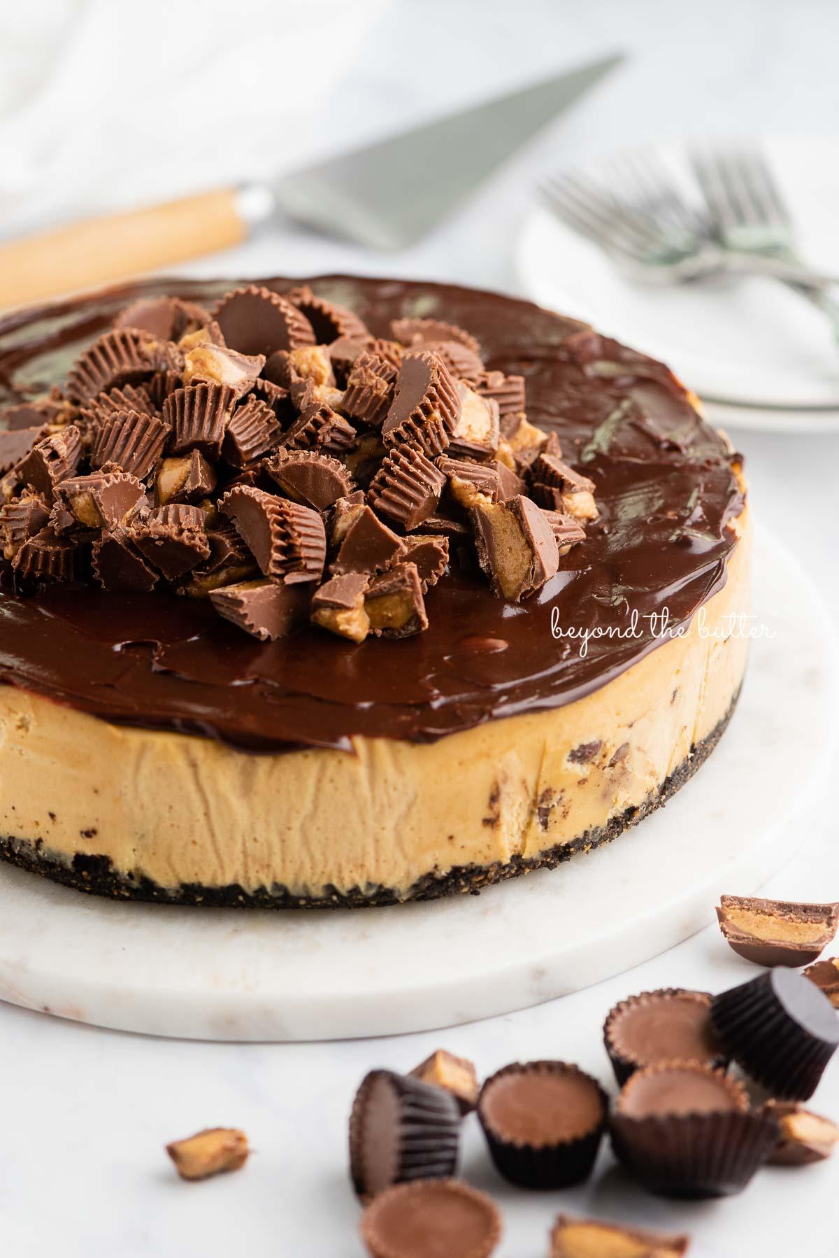 top-down view of a freshly baked peanut butter cup cheesecake in a springform pan