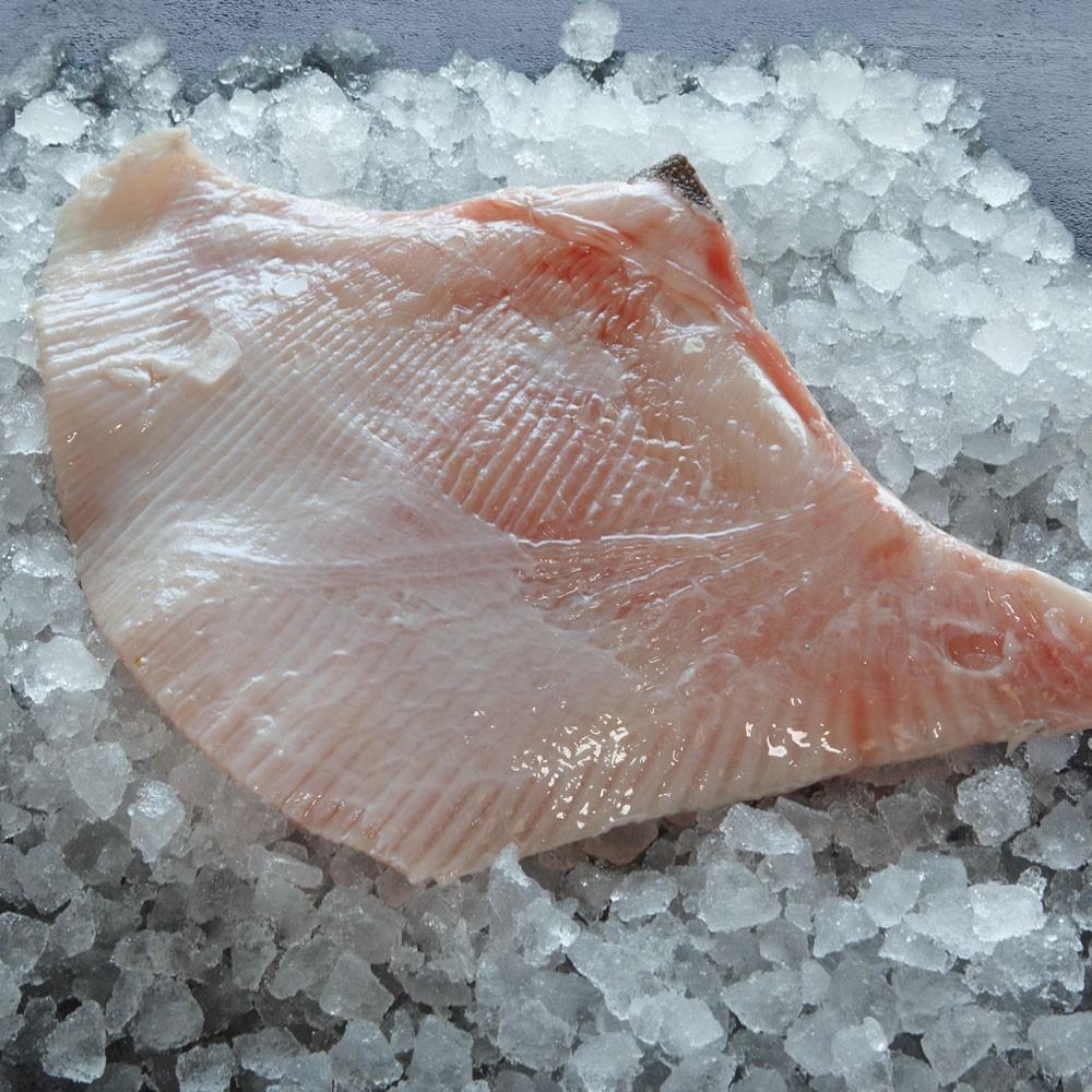 Fresh skate wings on ice at a fish market