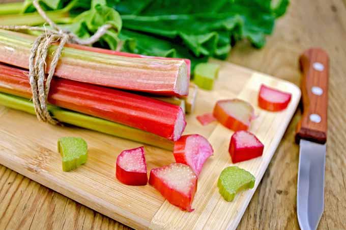 fresh rhubarb stalks on a kitchen counter