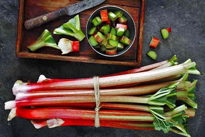 overhead shot of rhubarb stalks and ingredients on a kitchen counter