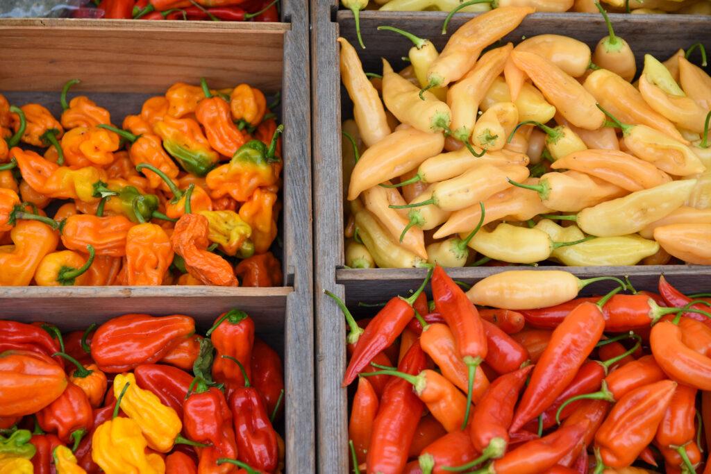 fresh red bell peppers at a farmers market