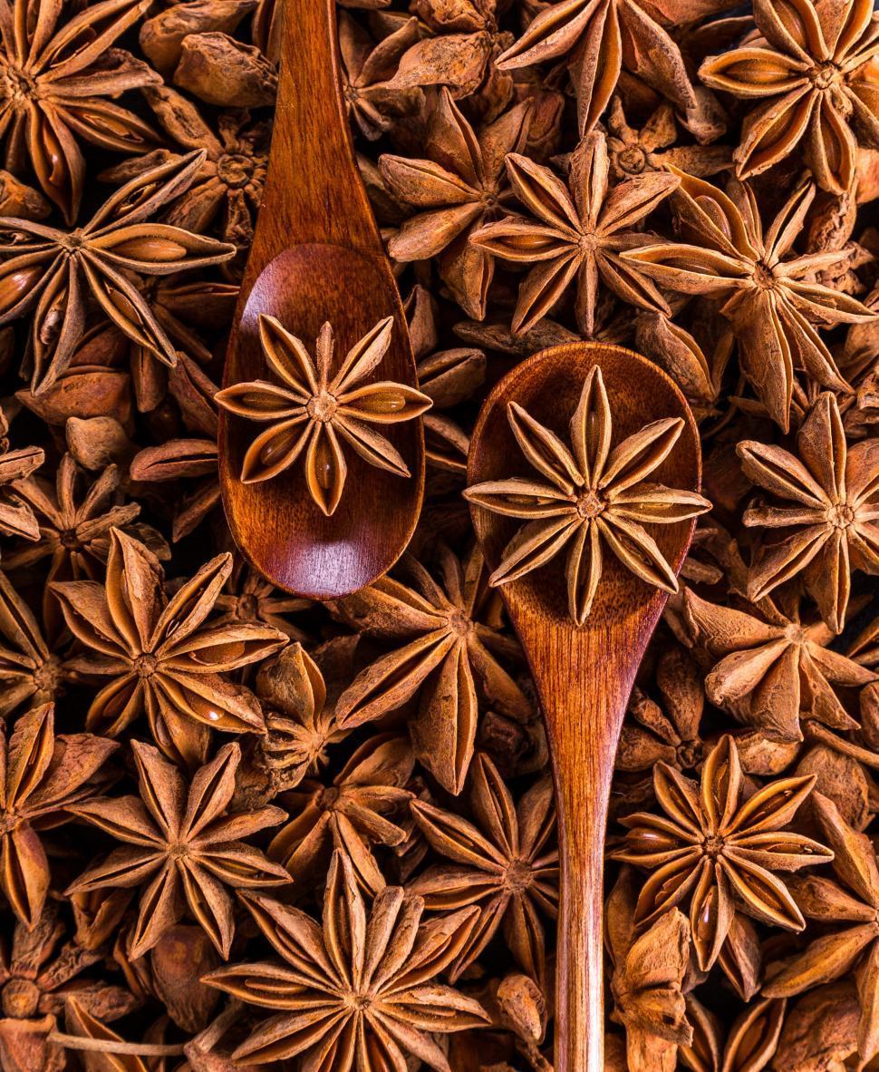 close up photo of star anise