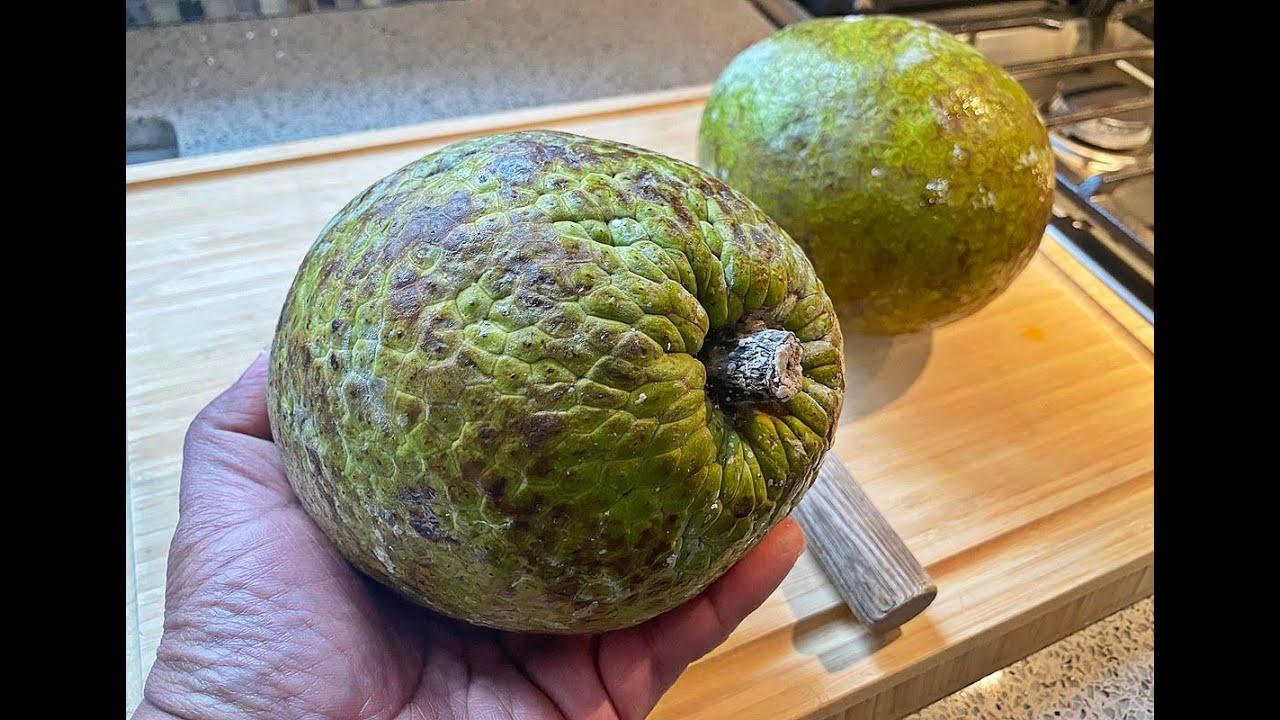 ripe breadfruit cut open