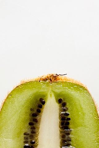 close up shot of rhubarb stalks and kiwi fruit