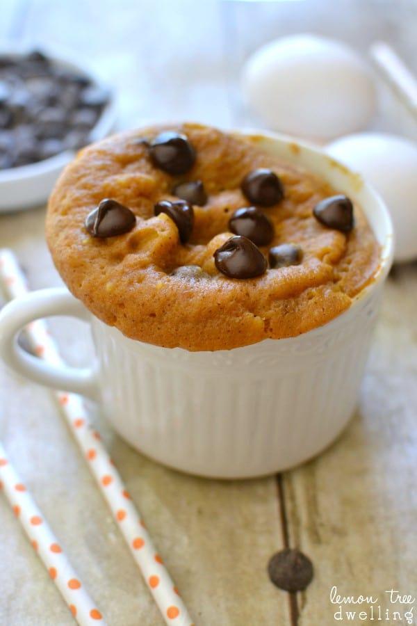 close-up of pumpkin chocolate chip mug cake texture