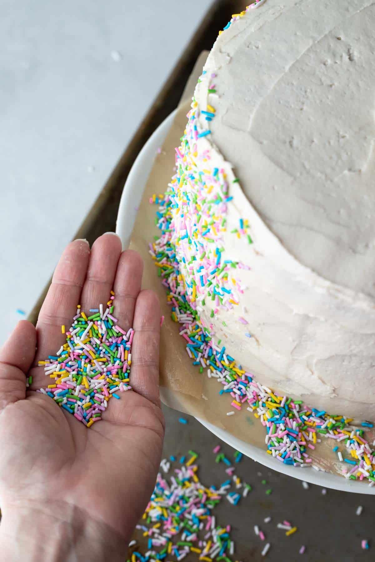 hands decorating a vanilla birthday cake with sprinkles and frosting
