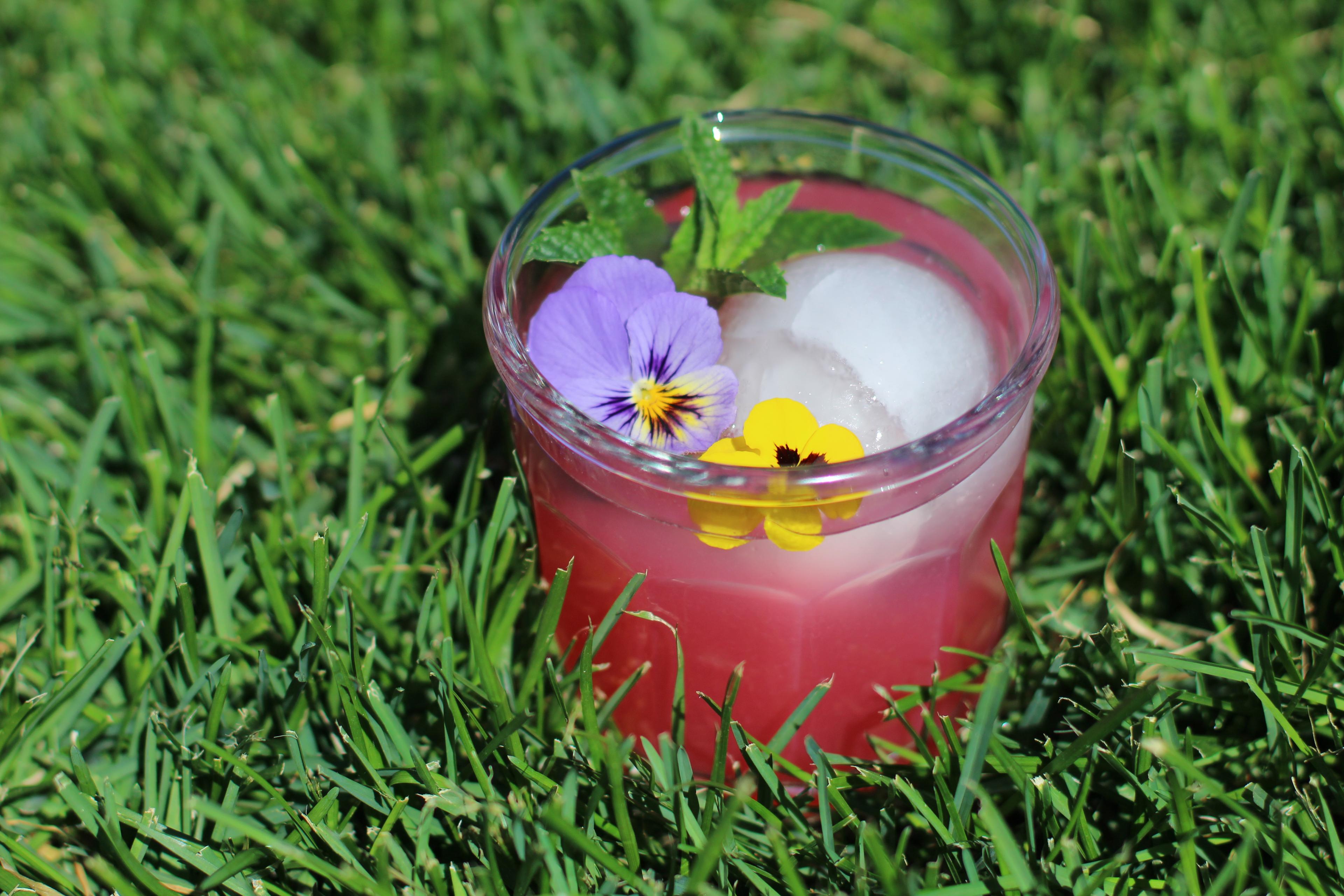 close-up shot of a glass of rhubarb mint lemonade with condensation