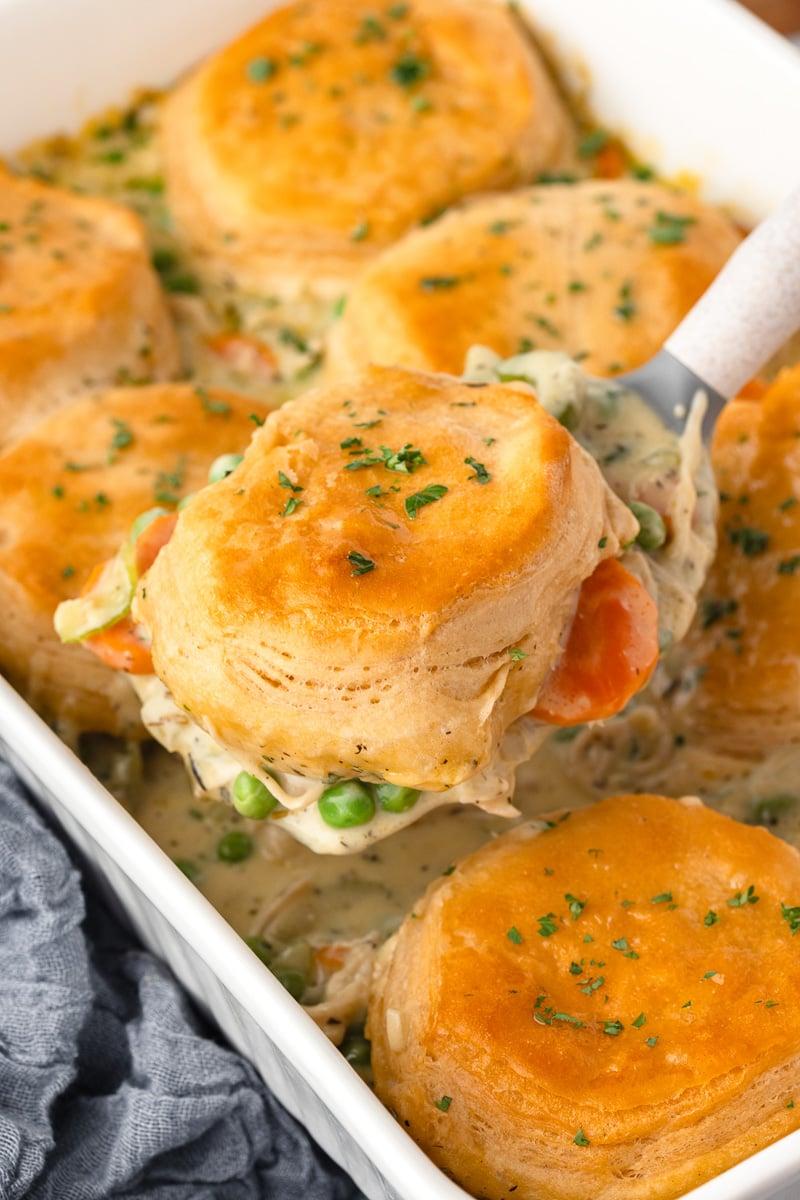 chicken and vegetable casserole topped with golden brown biscuits