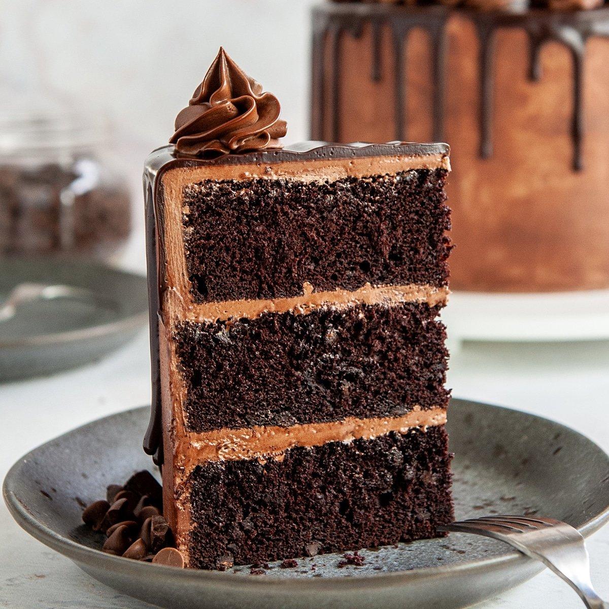a decadent slice of dark chocolate cake with a shimmering, velvety texture
