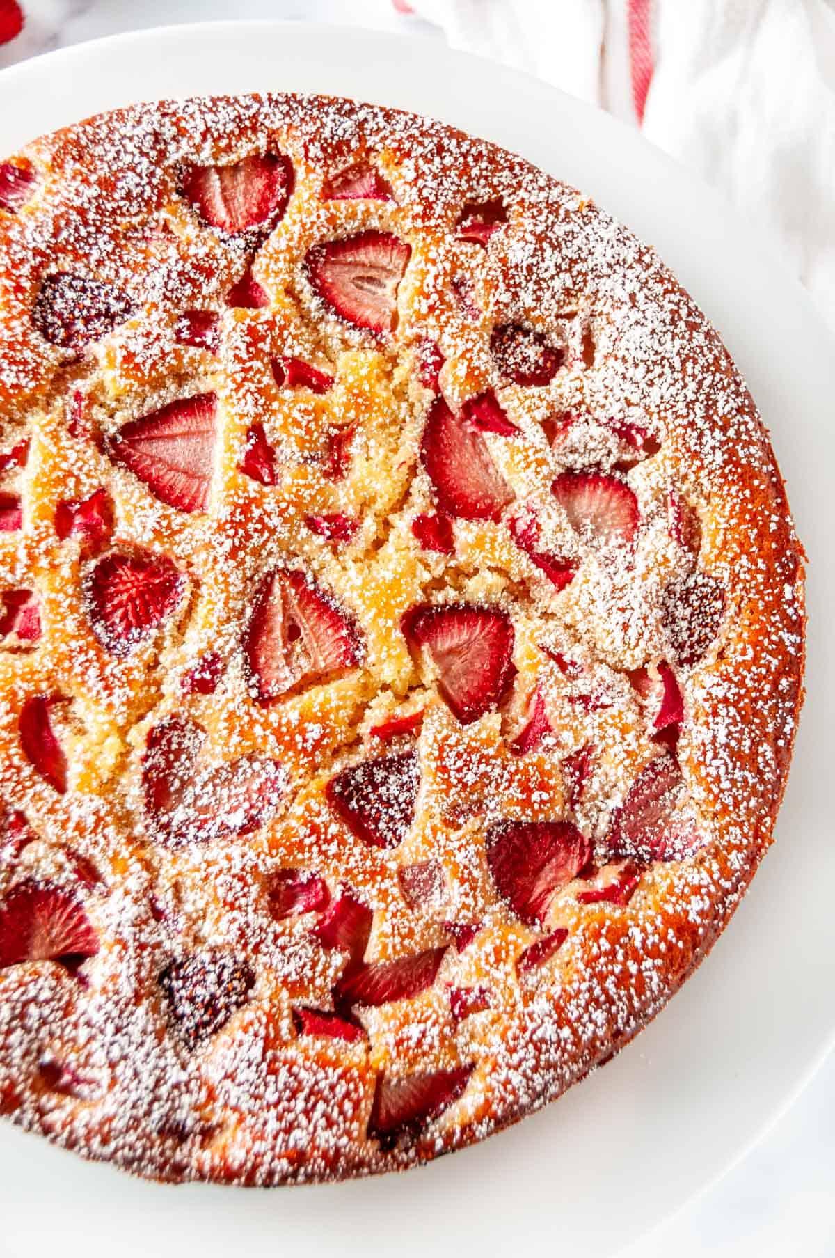 overhead shot of a whole rhubarb cake dusted with powdered sugar