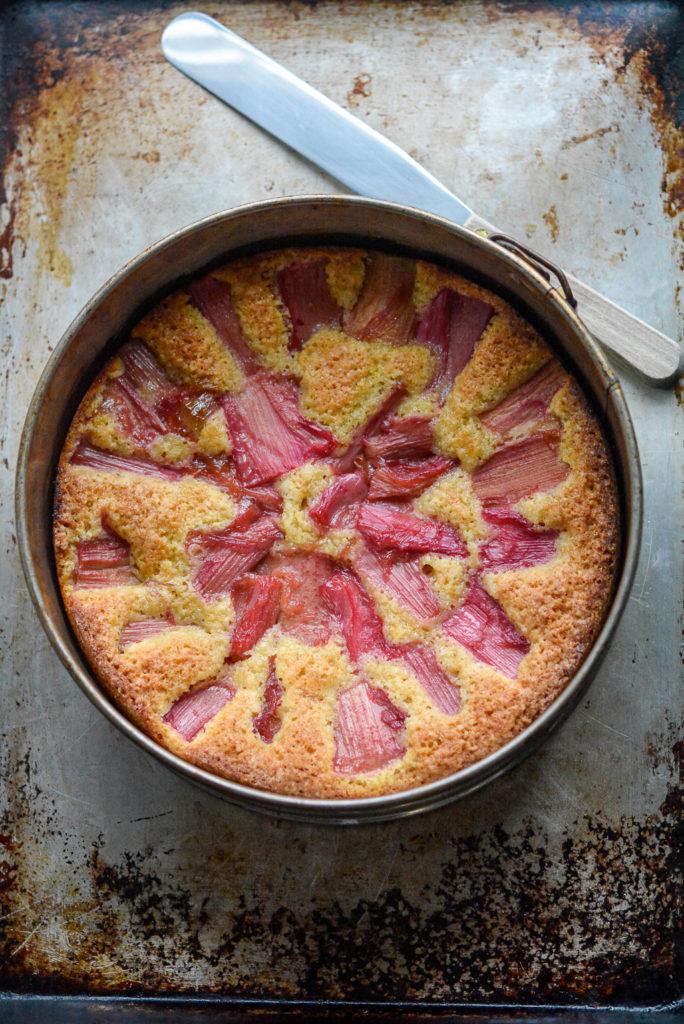Overhead shot of a freshly baked rhubarb and macadamia cake in a springform pan