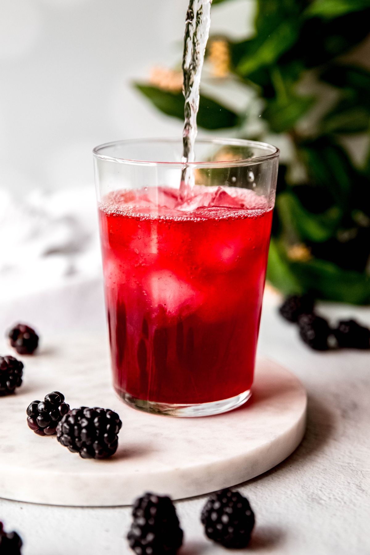 A refreshing Matcha Blackberry Sage drink in a tall glass with ice and a sage sprig garnish