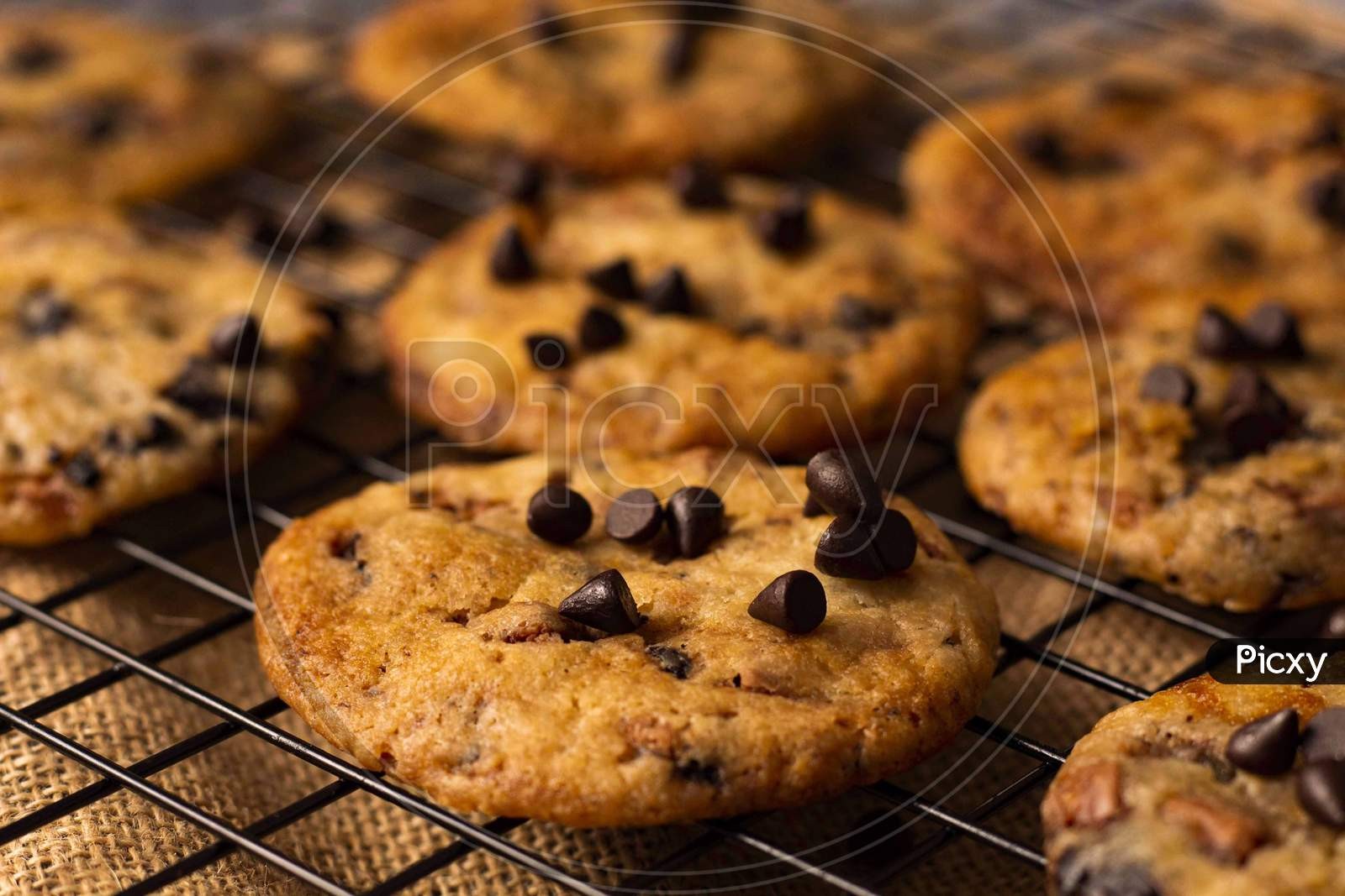 close-up shot of freshly baked chocolate chip cookies