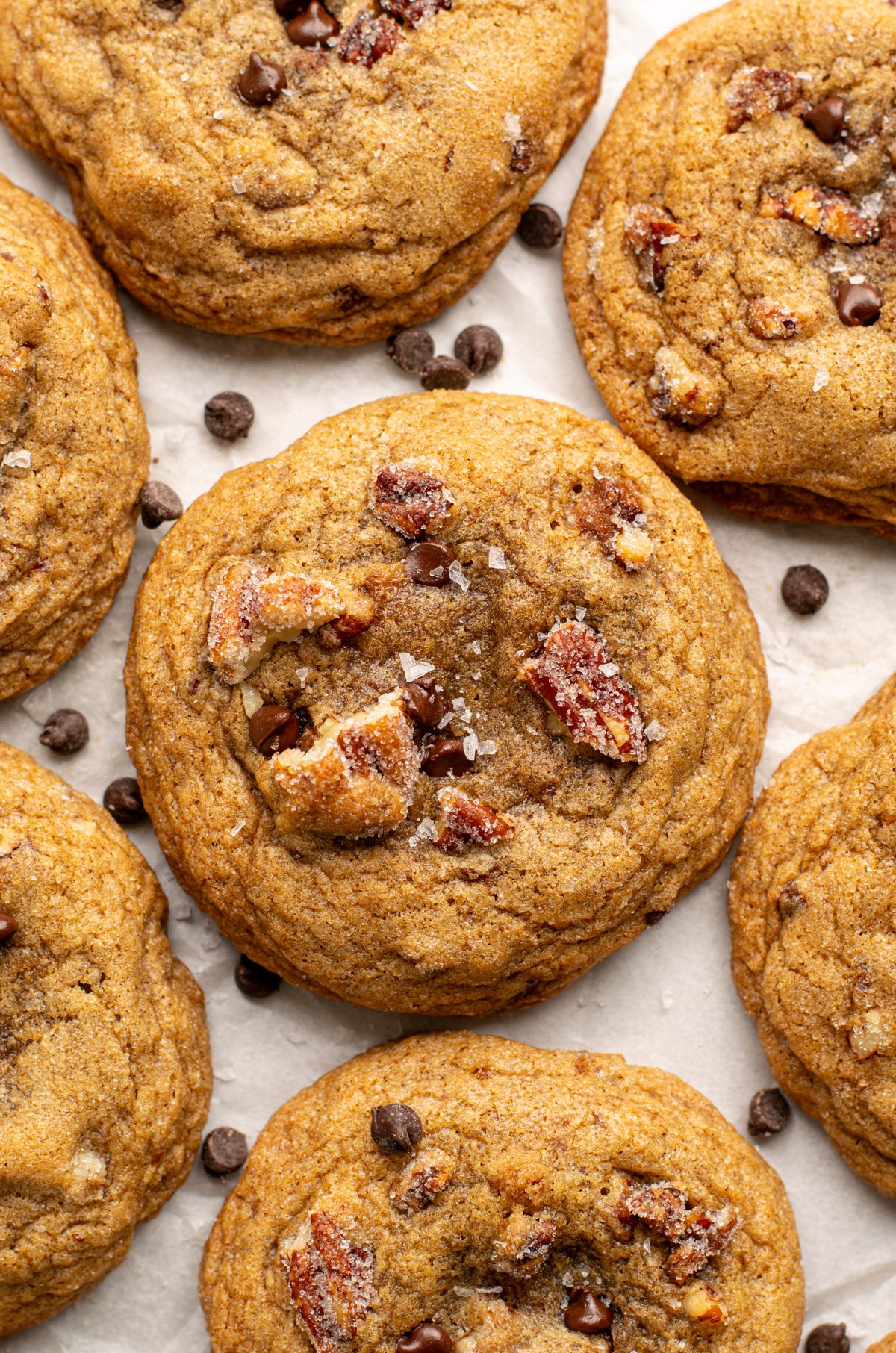 Warm pecan biscuit bake fresh out of the oven, golden brown