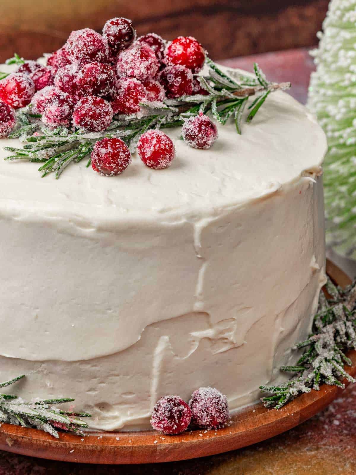 Cranberry Rosemary Chocolate Celebration Cake with powdered sugar