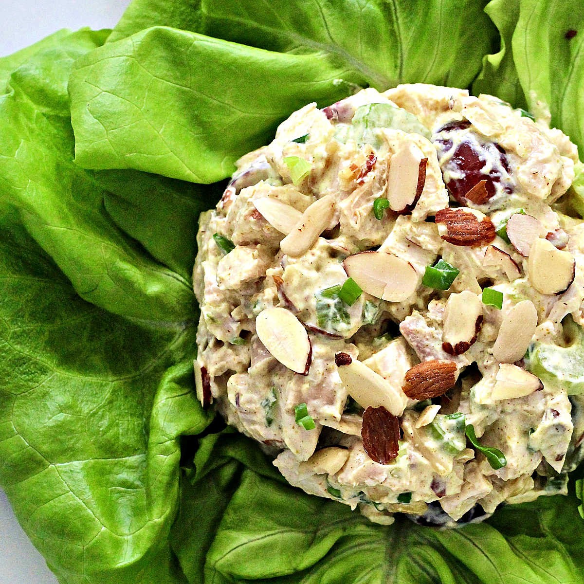 curried chicken salad with grapes and almonds served on a croissant