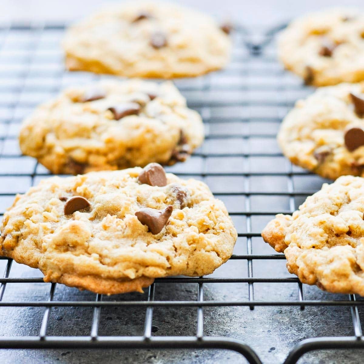 rustic scene of baked oatmeal chocolate chunk cookies on a cooling rack with a glass of milk